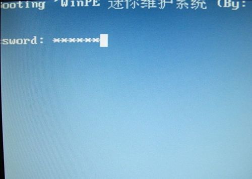 输入启动U盘的密码